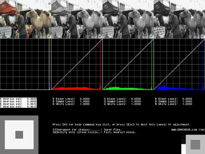 Question:DPX sequences from CineForm cf2dpx import to Assimilate SCRATCH-dpx_gra2.bmp