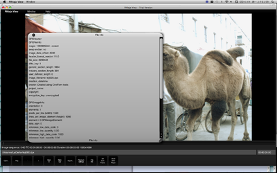 Question:DPX sequences from CineForm cf2dpx import to Assimilate SCRATCH-pihlaja-view-dpx-file-header-info-1.png