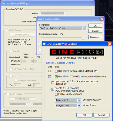 Color/gamma shift on exported video-vsrgbcontrols.png