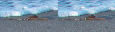 SxS vs Nanoflash stills:  Elephant Seals-wateredge_l-ex1_r-nano_2x.png