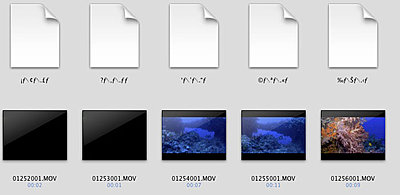 Serious problem with Nano-screen-shot-2010-05-21-15.38.32-2-.jpg