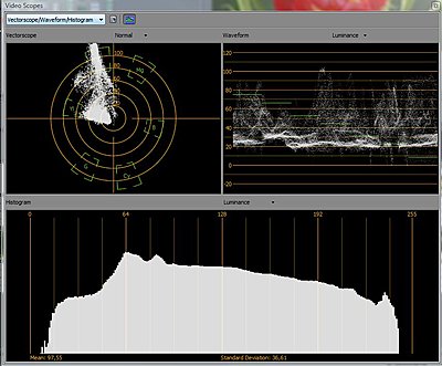 nanoFlash Public Beta 1.6.226 Firmware Comments-flower-420-scopes.jpg