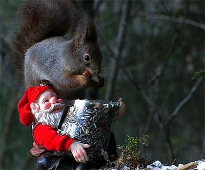 Tales of wonder and woe: DVC/UWOL Charity Challenge-santa-squirrel.jpg