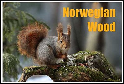 UWOL12/DVC - "Norwegian Wood" by Per Johan Nsje-norwegian-wood.jpg