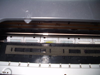 Ending the Epson DVD Printer Push-Pull Problems-inner-paper-guide-rollers.jpg
