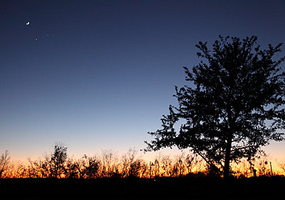 Post Your Photos (and lens/processing info)-2008conjunction.jpg