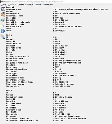 Capturing legacy 60i SD footage with correct cadence-dvinfo-dv-file-stats.jpg