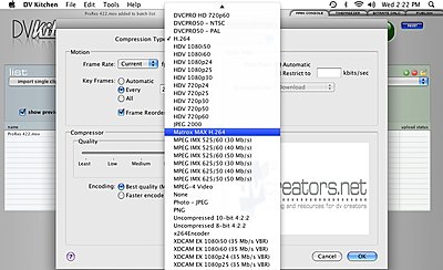 Matrox - H.264 accelerator board (PCIe 1x)-dvkitchen.jpg