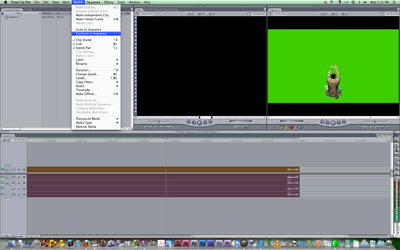 FCP Sequence Settings for NTSC Anamorphic Footage-picture-4.png