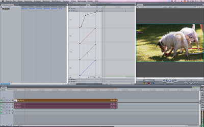 Photoshop curves for Final Cut-screenshot.png