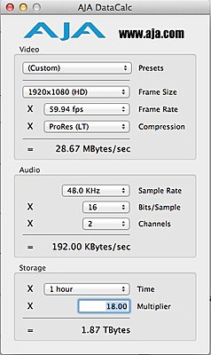 18hrs sony fs100 interview footage - digital management issues!-aja-data-calc-1.jpg