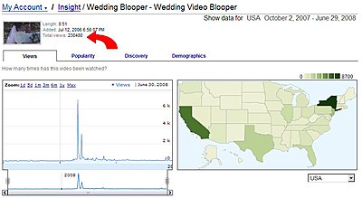 Advantages of posting movies on YouTube and Vimeo-wedding_blooper_viewing_stats.jpg