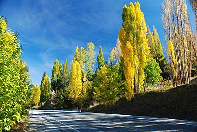 Post pics of your setup-gibbston-arrowtown-road.jpg