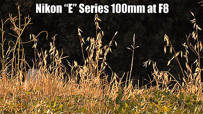 MTF adatper and Nikon lenses, Good?  Depends upon lens.-nikone100mmf8b.jpg