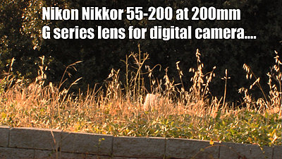 MTF adatper and Nikon lenses, Good?  Depends upon lens.-nikkor55-200gdigitalredone.jpg