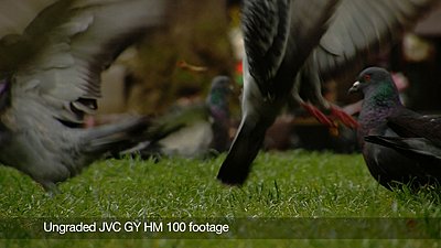 Video review of JVC GY-HM 100-still2.jpg