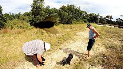 How to keep flying insects from front of lens while filming?-onthe-beach.jpg