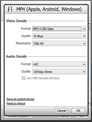 Rescuing video from the ancient Real Video format-conversion-settings.jpg