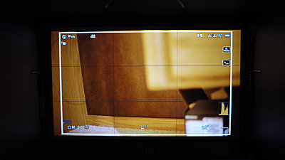 Sony monitor looks great-2.jpg