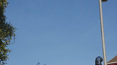 Whats this dot :)-spot.jpg