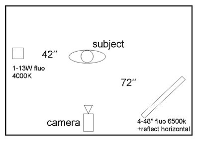 Fluorescent vs skin tone-image10-plan.jpg