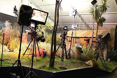 Lighting Award at Ellerslie Flower Show-img_1852.jpg