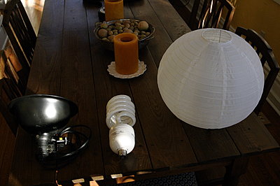 Chinese Lantern with Florescents-setup.jpg