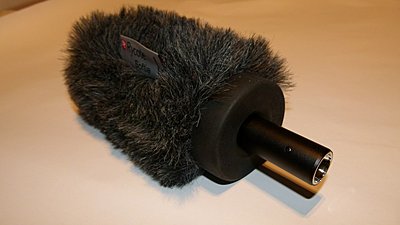 Private Classifieds listings from 2011-002micsoftie.jpg