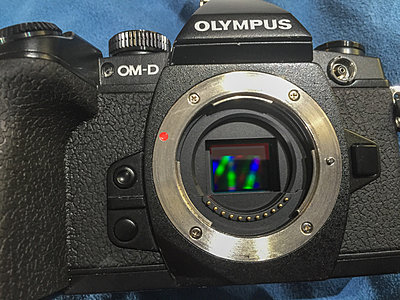 Olympus OMD EM1 MK1 with extras-olympus-kit-8.jpg