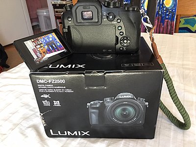 Panasonic DMC-FZ2500-Bridge Camera-Super Zoom-Mint-Leica lens-4mos old!-img_7634.jpg