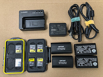 Panasonic S1H Lots of Extras-cards-adn-batts-1559.jpg