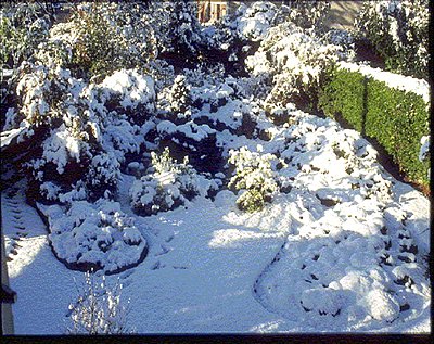 Digital Cinema - Filmmaker's Training Course?-garden-under-snow.jpg