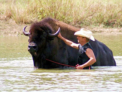 Introducing our feature project SUMMER OF '76-wildthing-buffalo-whisperer-2a.jpg