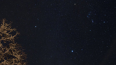 Astral Time Lapse - Mt Fuji-stars.jpg