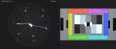 PXW-X70 + DSC Chart + Vectorscope-screen-shot-2014-10-03-11.45.01-pm.png