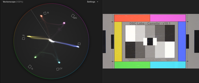 PXW-X70 + DSC Chart + Vectorscope-screen-shot-2014-10-04-5.36.04-pm.png