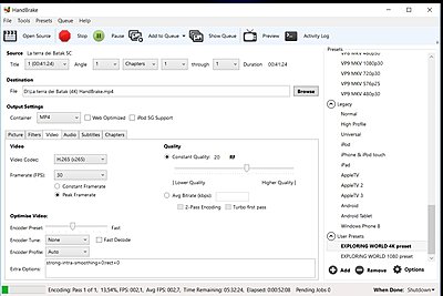 Sony FDR-AX100-handbrake.jpg