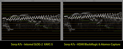New Sony A7s to shoot 4K video-together.jpg