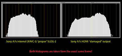 New Sony A7s to shoot 4K video-histogram.jpg