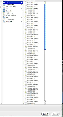 Importing archived XDCAM-clips in FCP7-file-structure.jpg