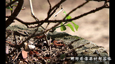 SONY HVR-Z7 test film video-zz73.jpg