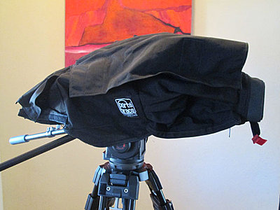 Rain Slicker & Canon Stuff-pbsliker2.jpg