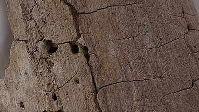 2x zoom on camera-stump1920.jpg