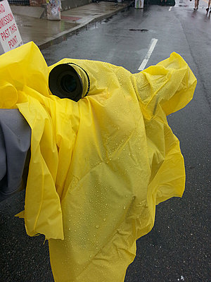 Any one used the EA50 in the rain?-makeshiftraincovercamera.jpg