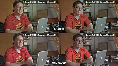 60D vs FS100?-fs100-vs-5dii-skin-tones.jpg