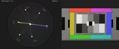 CX900/AX100 + DSC chart + Vectorscope-idlight-3700k-b1.png