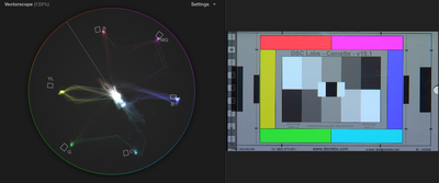 CX900/AX100 + DSC chart + Vectorscope-idlight-stock-jvc790.png