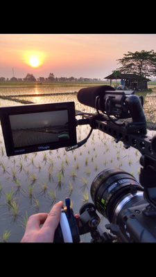 F5 external monitor arm? Bourdain-photo-2-.png