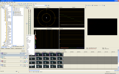 HD>SD downconversion Mac/FCP only-fountain_comparo2.png