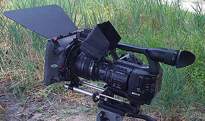 Mattebox question: Genus et al-century.jpg